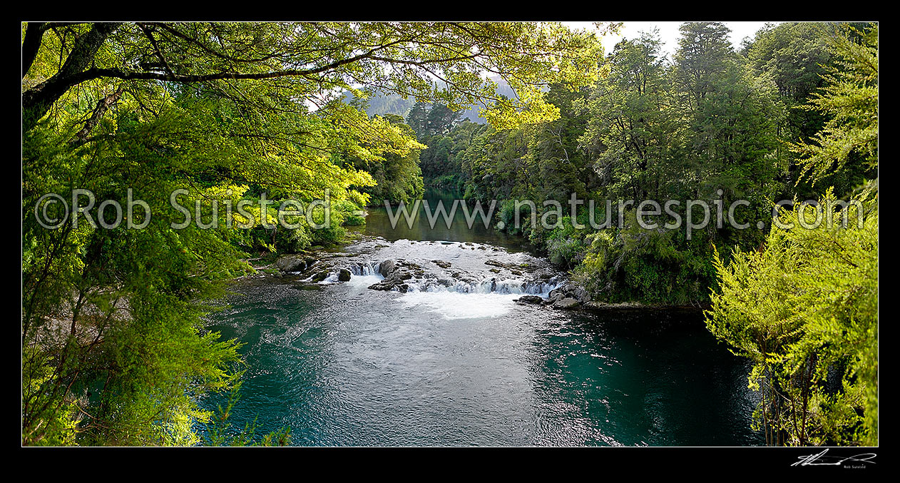 Image of Rai River cascades or falls passing through native beech forest. Panorama, Pelorus Bridge, Marlborough District, Marlborough Region, New Zealand (NZ) stock photo image