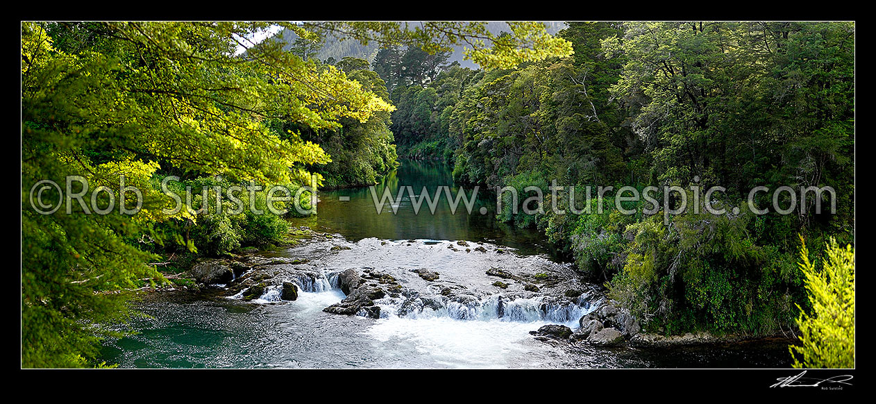 Image of Rai River cascades or falls passing through native beech forest. Panorama, Pelorus Bridge, Marlborough District, Marlborough Region, New Zealand (NZ) stock photo image