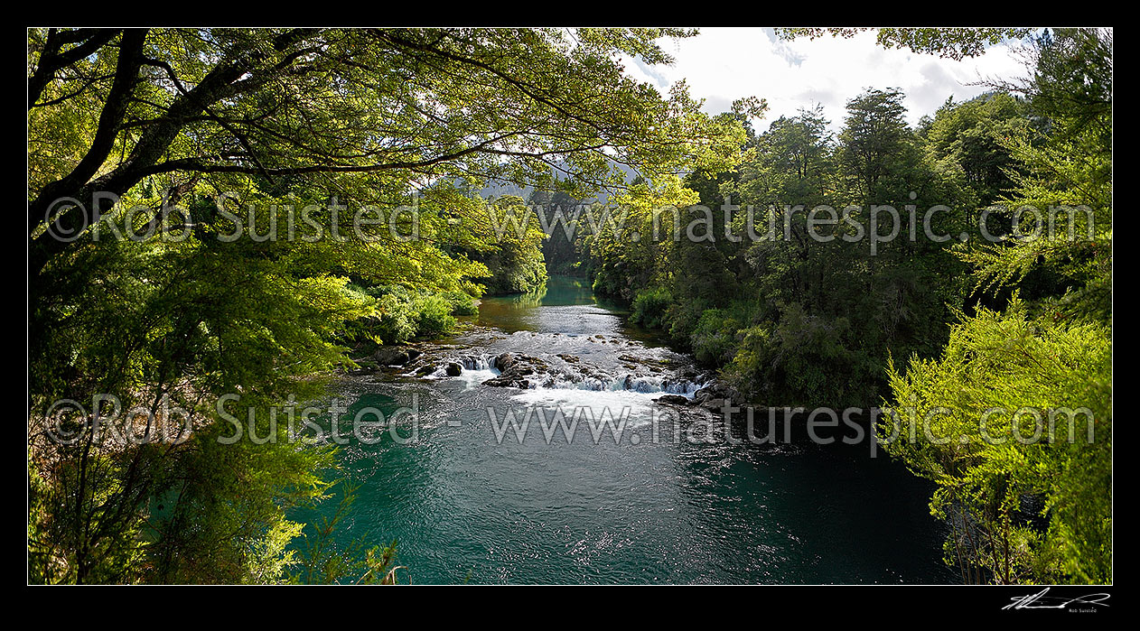 Image of Rai River cascades or falls passing through native beech forest. Panorama, Pelorus Bridge, Marlborough District, Marlborough Region, New Zealand (NZ) stock photo image