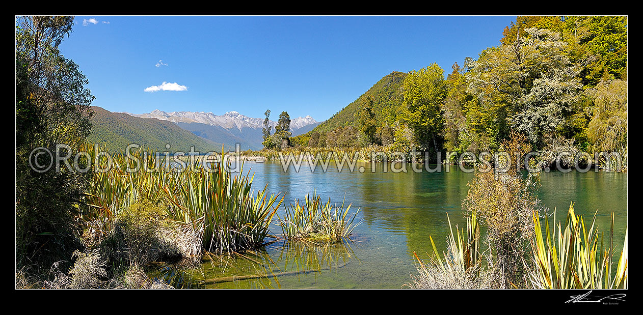 Image of Lake Rotoroa and the Gowan River. Travers Range in distance. Panorama, Nelson Lakes National Park, Tasman District, Tasman Region, New Zealand (NZ) stock photo image