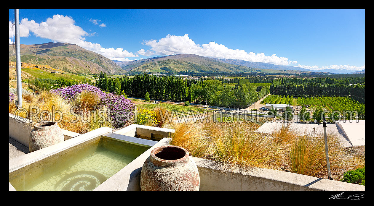 Image of Mt Difficulty Wines looking out over the vineyards and winery. Panorama, Bannockburn, Central Otago District, Otago Region, New Zealand (NZ) stock photo image