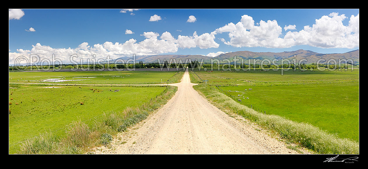 Image of Central Otago crossroads amongst lush farmland and grazing stock. Dunstan Mountains and Lauder Creek behind. Panorama, Becks, Central Otago District, Otago Region, New Zealand (NZ) stock photo image