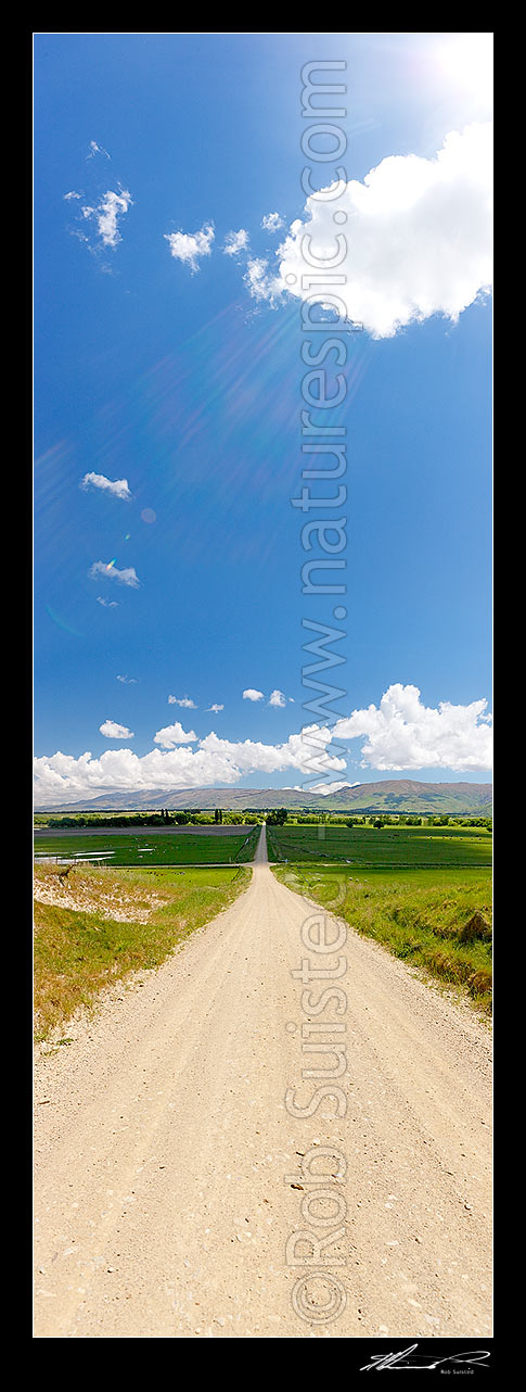 Image of Central Otago crossroads amongst lush farmland and grazing stock. Dunstan Mountains and Lauder Creek behind. Vertical panorama, Becks, Central Otago District, Otago Region, New Zealand (NZ) stock photo image