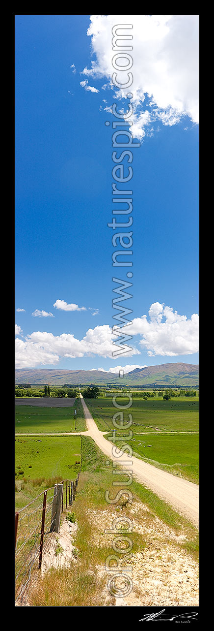 Image of Central Otago crossroads amongst lush grass farmland and grazing stock. Dunstan Mountains and Lauder Creek behind. Vertical panorama, Becks, Central Otago District, Otago Region, New Zealand (NZ) stock photo image