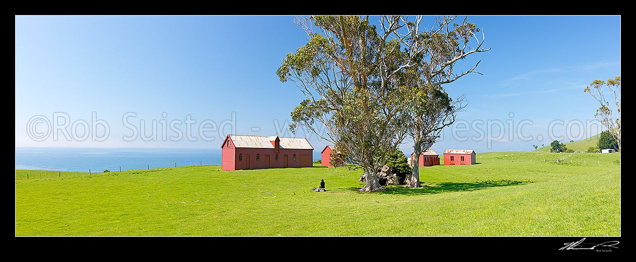 Image of Matanaka Farm Buildings, built by Johnny Jones, pioneering settler in Otago in the 1840's. Panorama, Waikouaiti, Dunedin City District, Otago Region, New Zealand (NZ) stock photo image