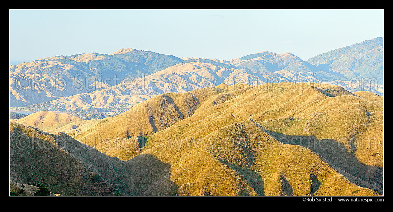 Image of Belmont Regional Park Hills, looking over Cannons Head and Round Hill. Pauatahanui Inlet beyond. Panorama, Belmont Regional Park, Porirua City District, Wellington Region, New Zealand (NZ) stock photo image