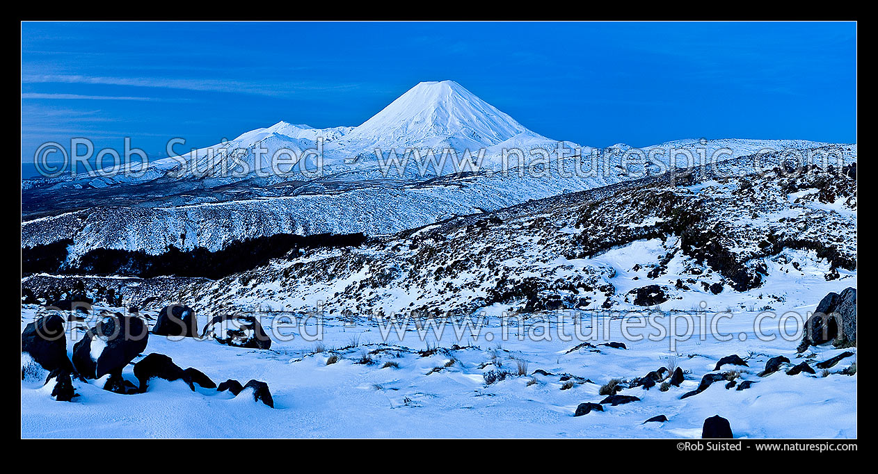 Image of Mount Ngauruhoe (2287m), distinctive volcanic cone in Tongariro National Park with Mt Tongariro (1967m) to left, panorama seen from Whakapapa in winter snow at twilight, Tongariro National Park, Ruapehu District, Manawatu-Wanganui Region, New Zealand (NZ) stock photo image