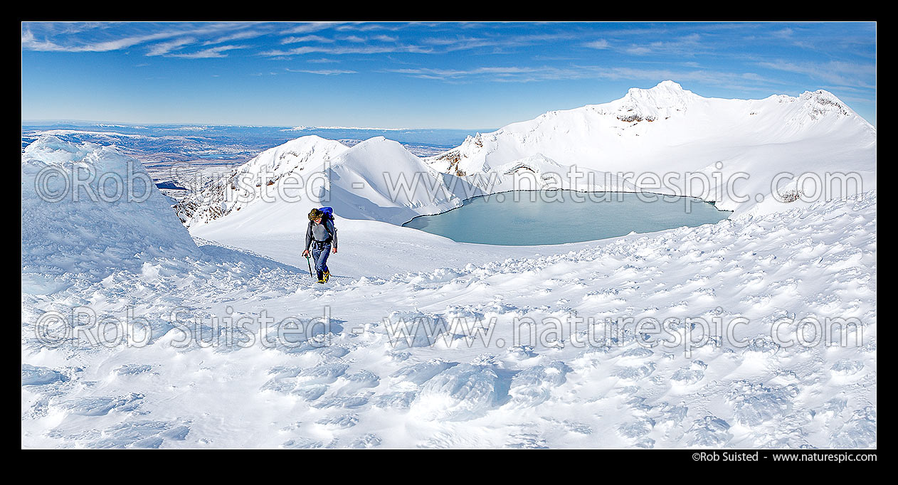 Image of Tramper climbing past Dome Shelter (ice encrusted) near summit and Crater Lake of Mount Ruapehu (2797m Tahurangi Peak right). Ice textures in panorama, Tongariro National Park, Ruapehu District, Manawatu-Wanganui Region, New Zealand (NZ) stock photo image