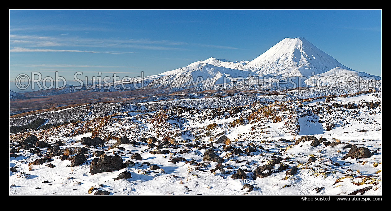 Image of Mount Ngauruhoe (2287m), distinctive volcanic cone in Tongariro National Park with Mt Tongariro (1967m) to left, panorama seen from Whakapapa in winter snow, Tongariro National Park, Ruapehu District, Manawatu-Wanganui Region, New Zealand (NZ) stock photo image