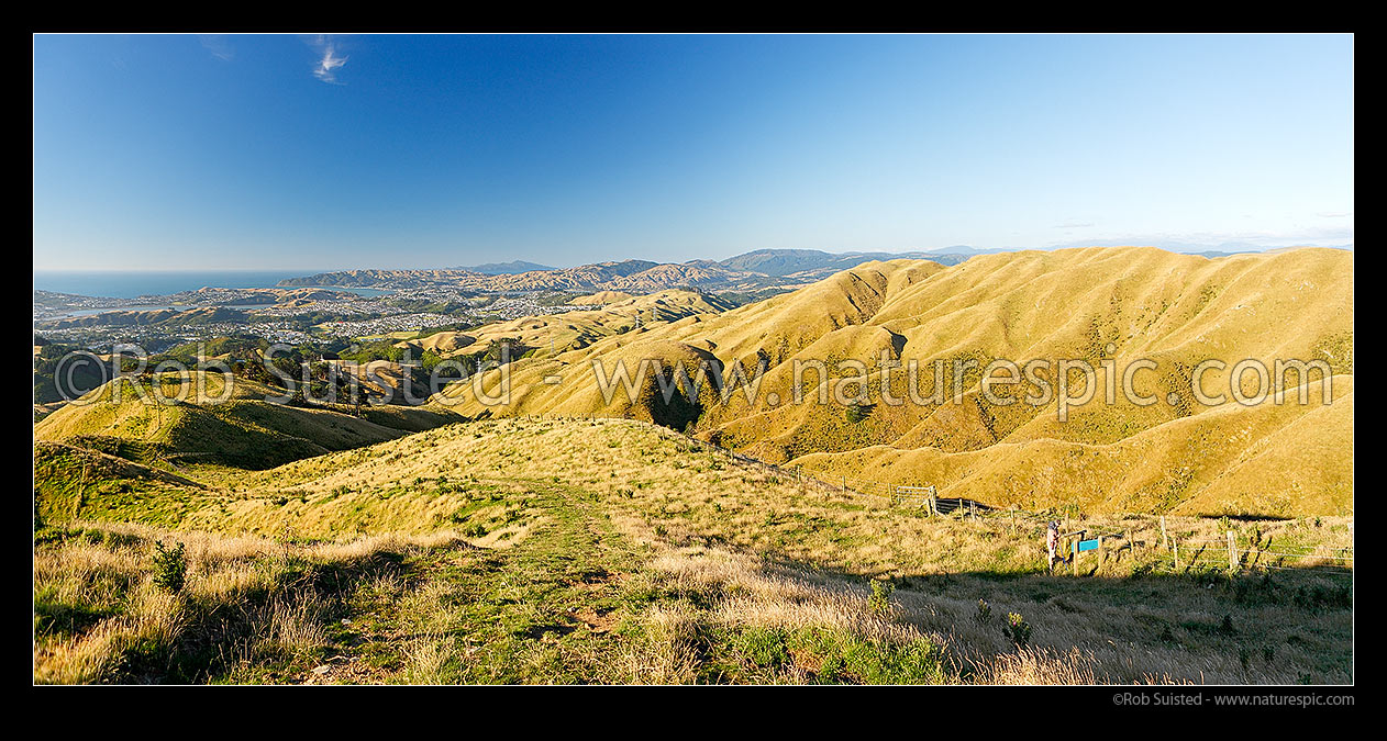 Image of Belmont Regional Park, Takapu Track route with walker heading towards Cannons Head Track. Porirua Harbour and City, Plimmerton and Kapiti Island beyond. Panorama, Belmont Regional Park, Wellington City District, Wellington Region, New Zealand (NZ) stock photo image