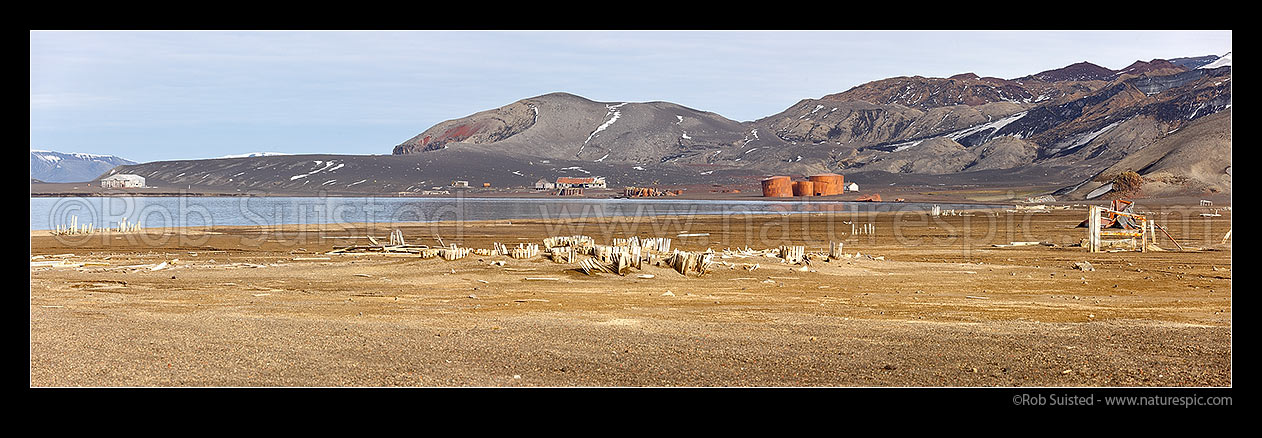 Image of Whaler's Bay on volcanic Deception Island, with historic remains from Antarctis whaling and scientific research bases. Panorama, Deception Island, Antarctic Peninsula, Antarctica Region, New Zealand (NZ) stock photo image