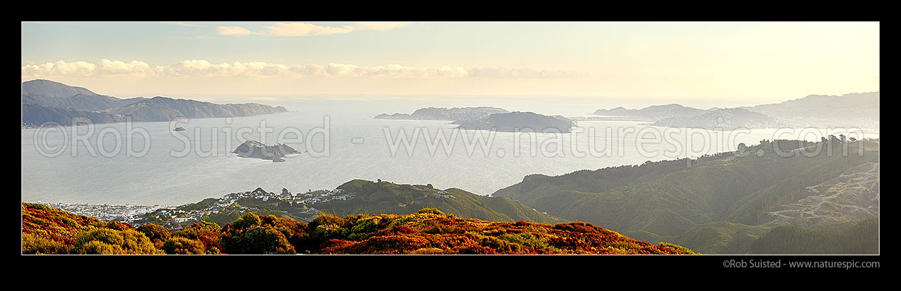 Image of Wellington Harbour entrance, Pencarrow Head, Matiu/Somes Island (left), to Miramar Peninsula, Airport and city (right), seen from Belmont Regional Park. Panorama, Petone, Wellington City District, Wellington Region, New Zealand (NZ) stock photo image