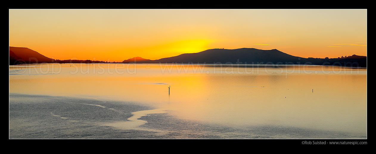 Image of Otago Harbour sunrise. Looking towards Aramoana, The Spit, Taiaroa Head, Hautai Hill and Harington Point. Panorama, Port Chalmers, Dunedin City District, Otago Region, New Zealand (NZ) stock photo image