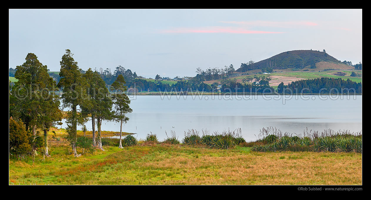 Image of Lake Omapere twilight. Remnant Kahikatea and Puriri tree forest and flax harakeke on lake shoreline and farmland. Mt Putahi beyond near Kaikohe. Panorama, Okaihau, Far North District, Northland Region, New Zealand (NZ) stock photo image