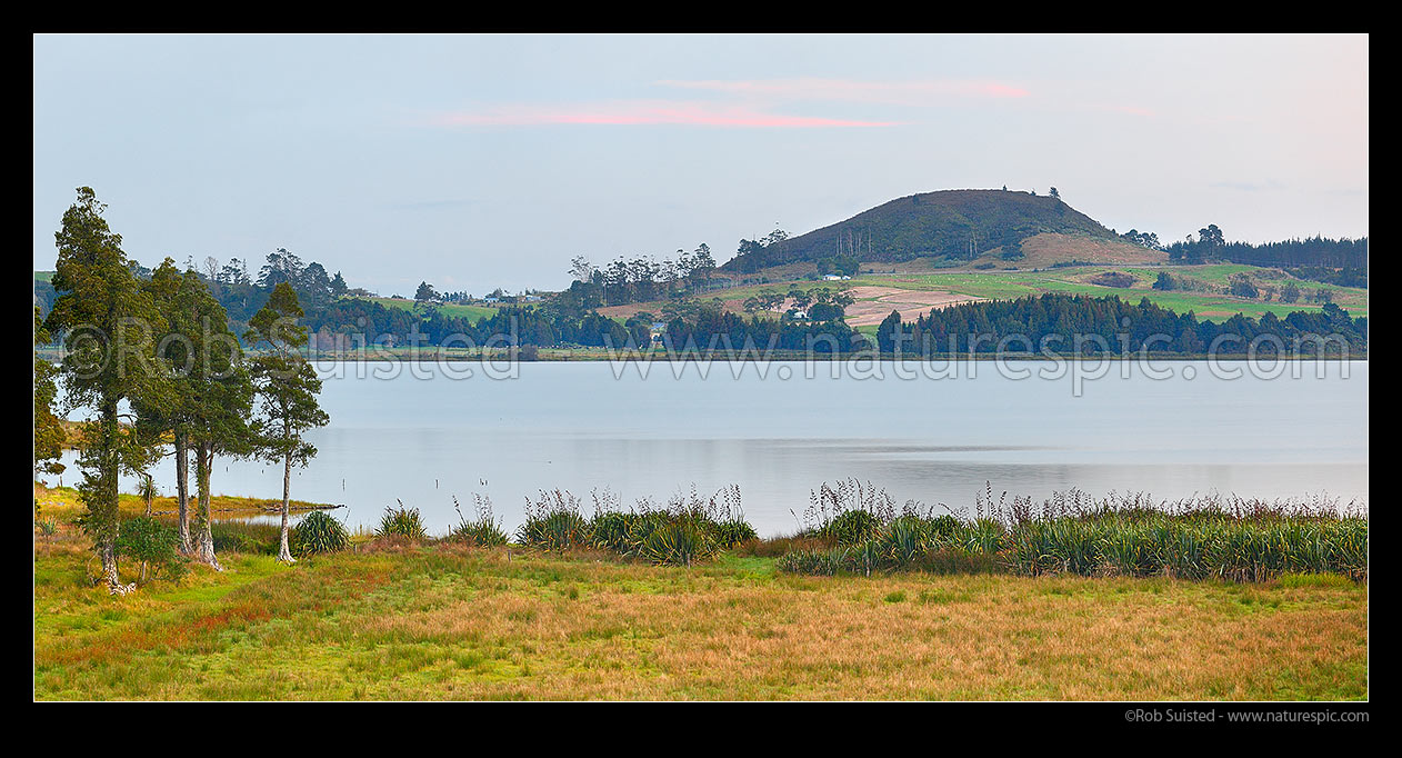 Image of Lake Omapere with remnant Kahikatea tree forest on lake shore at left. Mt Putahi beyond near Kaikohe. Panorama, Okaihau, Far North District, Northland Region, New Zealand (NZ) stock photo image