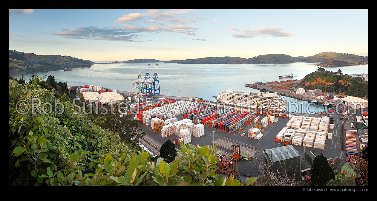 Image of Port Chalmers Container Terminal, looking towards ship leaving via Dunedin Harbour entrance and Taiaroa Head. The World ship in port. Port Otago Limited. Panorama, Port Chalmers, Dunedin City District, Otago Region, New Zealand (NZ) stock photo image