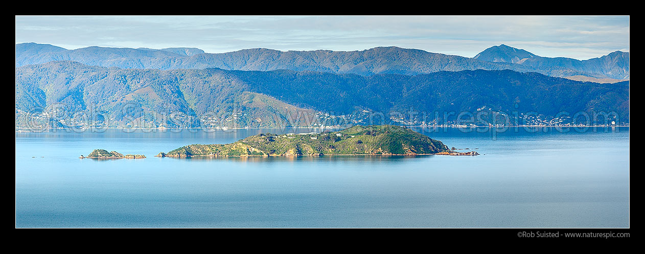 Image of Matiu / Somes Island in Wellington Harbour. Mokopuna Island (left), with Mahina, Days and Sunshine Bays behind. Remutaka (Rimutaka) Range and Mt Matthews distant. Panorama, Wellington, Wellington City District, Wellington Region, New Zealand (NZ) stock photo image