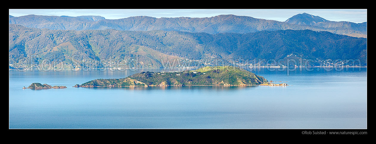 Image of Matiu / Somes Island in Wellington Harbour. Mokopuna Island (left), with Point Howard, Lowry, Mahina and Days Bays behind. Remutaka (Rimutaka) Range & Mt Matthews distant. Panorama, Wellington, Wellington City District, Wellington Region, New Zealand (NZ) stock photo image