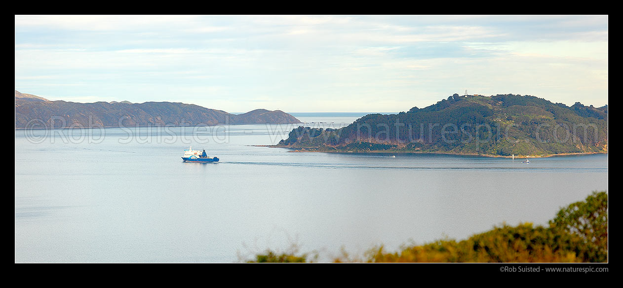 Image of Wellington Harbour Entrance. Pencarrow Head (left) and Point Halswell, Kau Bay and Miramar Peninsula right. Bluebridge ferry departing. Panorama, Wellington, Wellington City District, Wellington Region, New Zealand (NZ) stock photo image