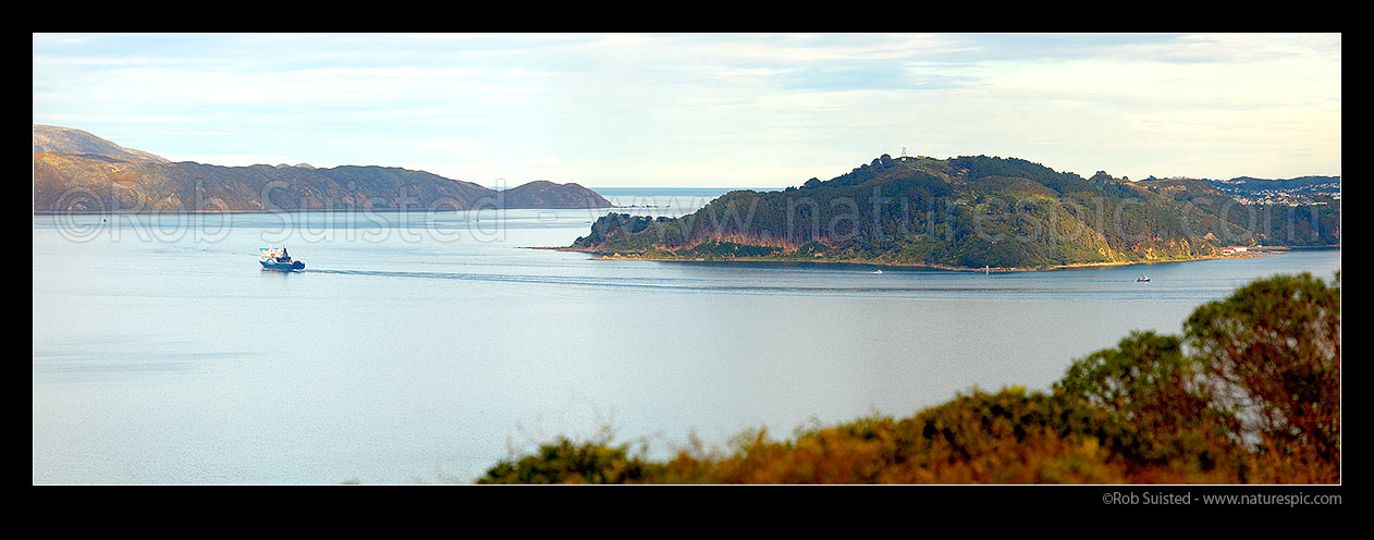 Image of Wellington Harbour Entrance. Pencarrow Head (left) and Point Halswell, Kau Bay, Shelly Bay and Miramar Peninsula right. Bluebridge ferry departing. Panorama, Wellington, Wellington City District, Wellington Region, New Zealand (NZ) stock photo image