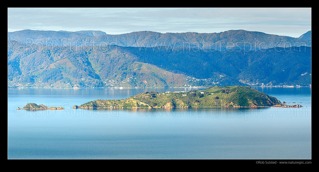 Image of Matiu / Somes Island in Wellington Harbour. Mokopuna Island (left), with Mahina, Days and Sunshine Bays behind. Remutaka (Rimutaka) Range distant. Panorama, Wellington, Wellington City District, Wellington Region, New Zealand (NZ) stock photo image