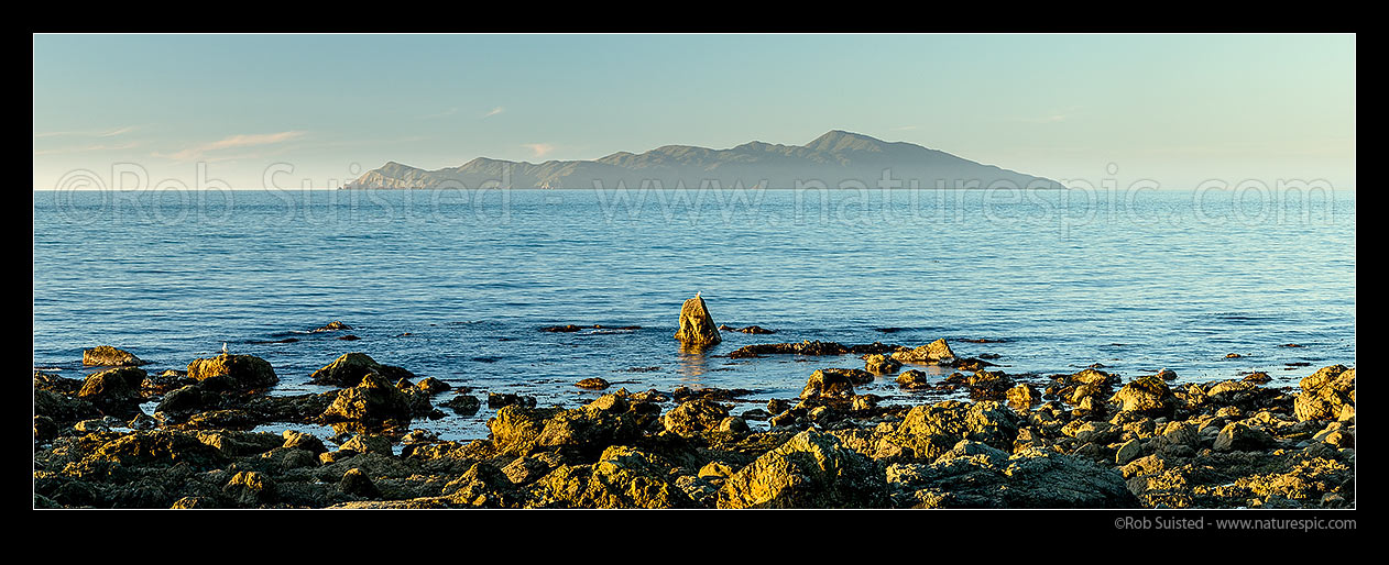 Image of Kapiti Island offshore of Pukerua Bay (high point is Tuteremoana 521m). Rauoterangi Channel (Otaheke Strait). Panorama, Pukerua Bay, Porirua City District, Wellington Region, New Zealand (NZ) stock photo image