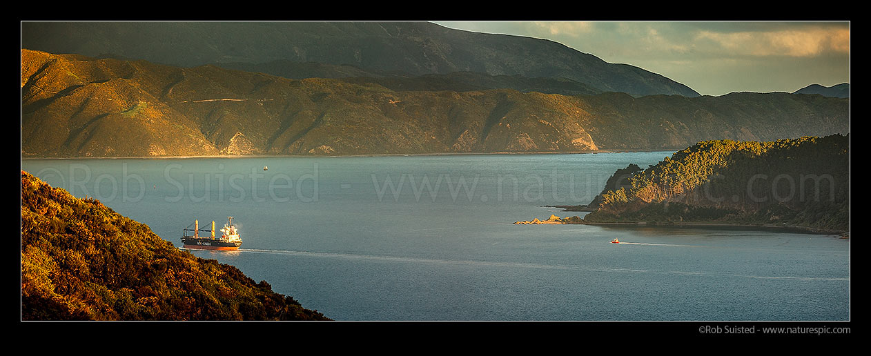 Image of Ship leaving Wellington Harbour in evening with following harbour pilot boat. Bulk carrier vessel. Remutaka (Rimutaka) Forest Park Range distance. Kau Bay right. Evening panorama, Wellington Harbour, Wellington City District, Wellington Region, New Zealand (NZ) stock photo image