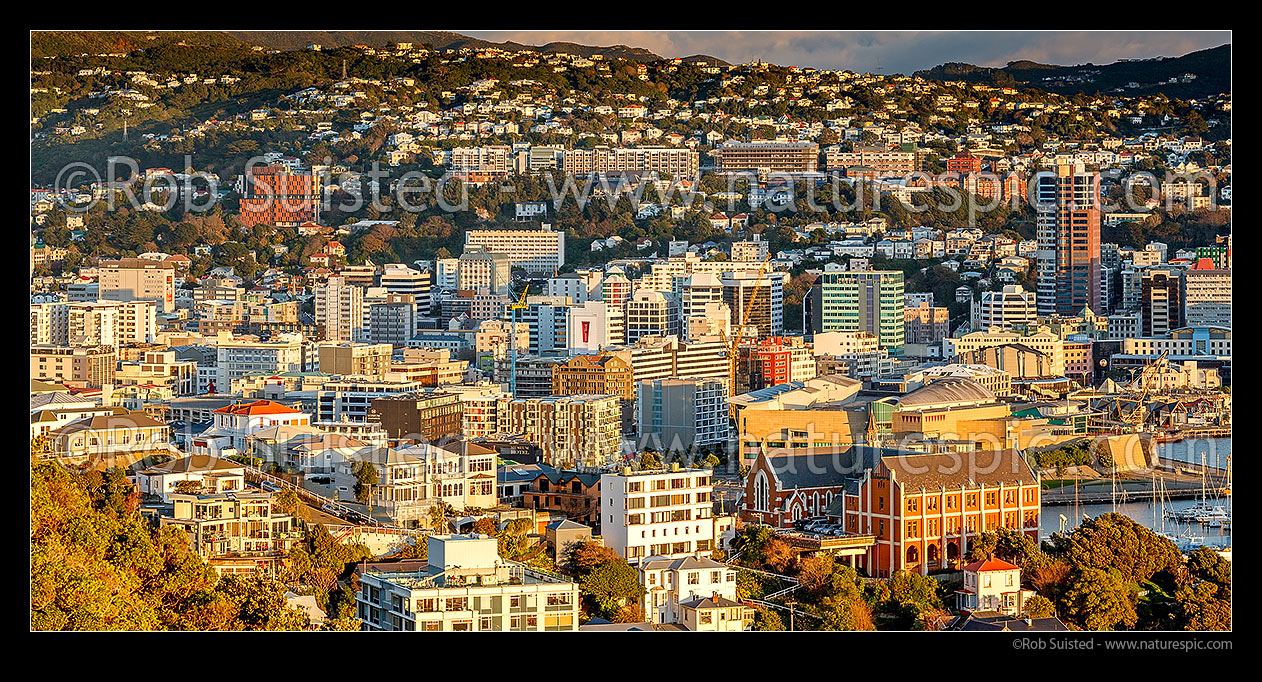 Image of Sunrise over Wellington City. St Gerards Monastry and Te Papa Tongarewa bottom right. Victoria University prominent on hill above. Panorama, Wellington, Wellington City District, Wellington Region, New Zealand (NZ) stock photo image