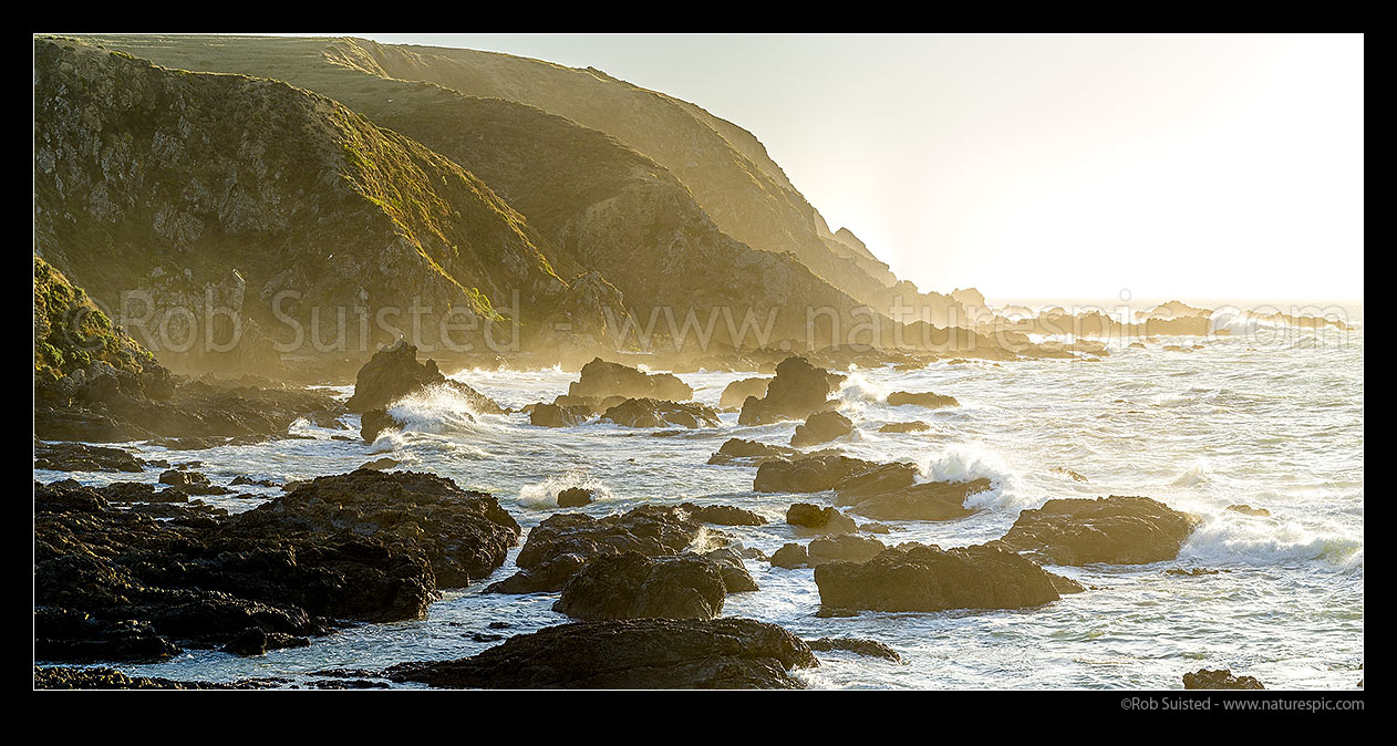 Image of Titahi Bay coastline with waves crashing onto the rocky shore in late afternoon sun. Whitireia Park. Panorama, Titahi Bay, Porirua City District, Wellington Region, New Zealand (NZ) stock photo image