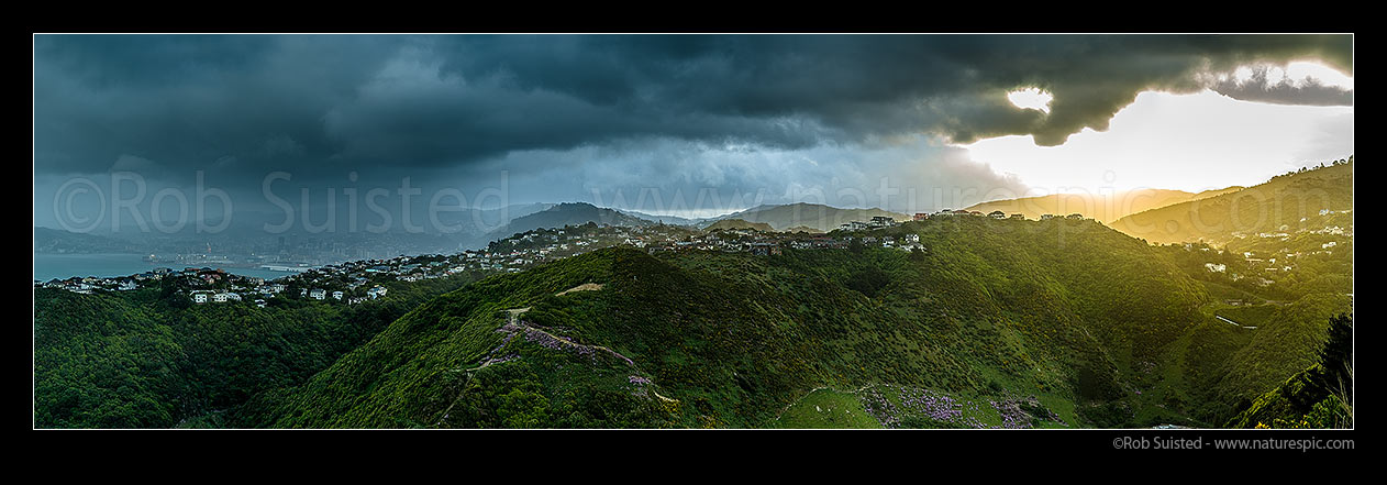 Image of Wellington City with cold southerly front arriving at dusk. Wellington Harbour left, Khandallah centre and Broadmeadows far right. Panorama, Wellington, Wellington City District, Wellington Region, New Zealand (NZ) stock photo image