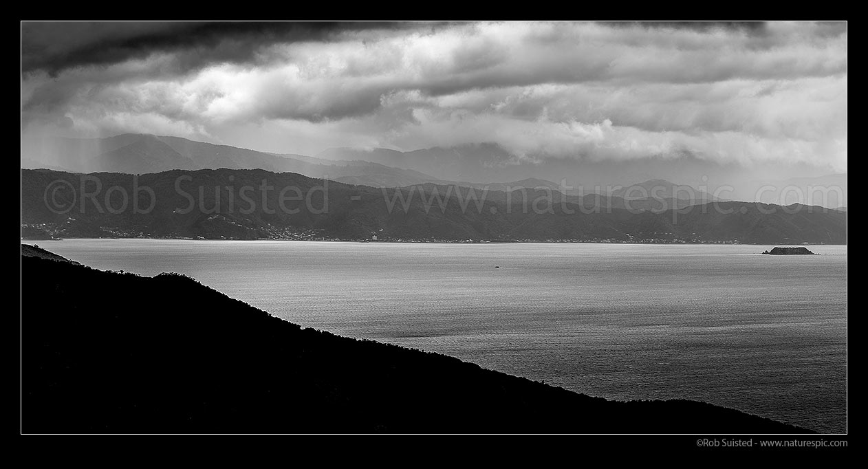 Image of Moody Wellington Harbour with approaching weather. Days Bay and Eastbourne coast, Remutaka (Rimutaka) Ranges behind, Makaro / Ward Island right. Ferry crossing harbour. Black and White panorama, Wellington, Wellington City District, Wellington Region, New Zealand (NZ) stock photo image