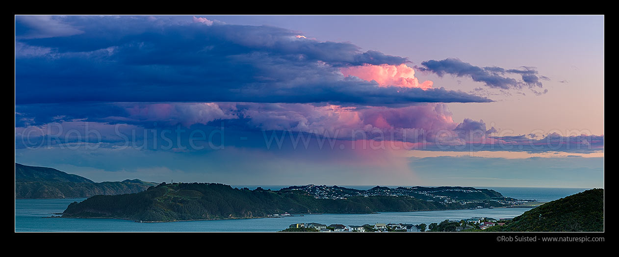 Image of Dusk over Wellington Harbour, with sunset light colouring clouds and a lone rainfall over Cook Strait and the Miramar Peninsula. Panorama, Wellington, Wellington City District, Wellington Region, New Zealand (NZ) stock photo image