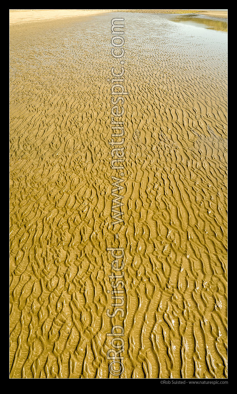 Image of Sand ripples patterns in tidal beach sand. Golden colour. Vertical panorama, Mana, Porirua City District, Wellington Region, New Zealand (NZ) stock photo image