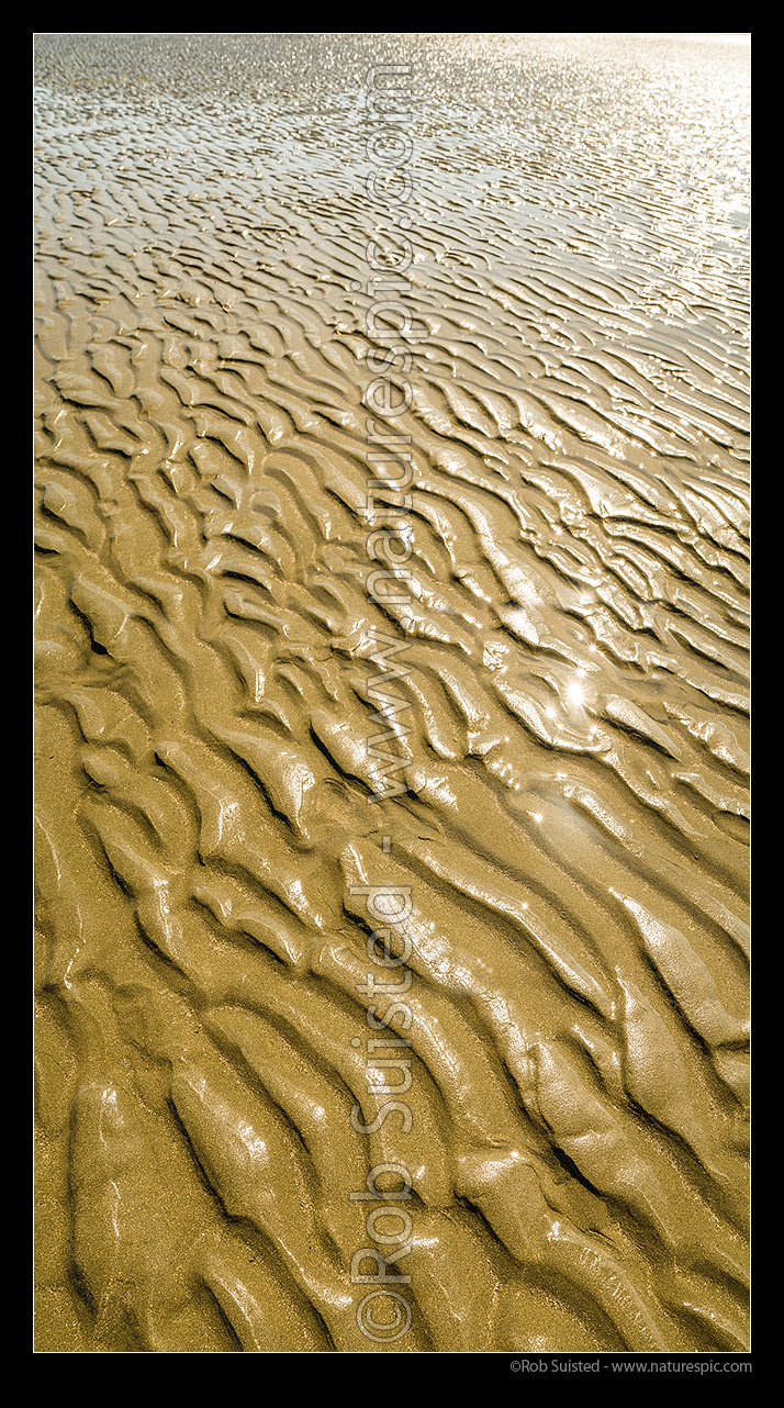 Image of Sand ripples patterns in tidal beach sand. Golden colour. Vertical panorama, Mana, Porirua City District, Wellington Region, New Zealand (NZ) stock photo image