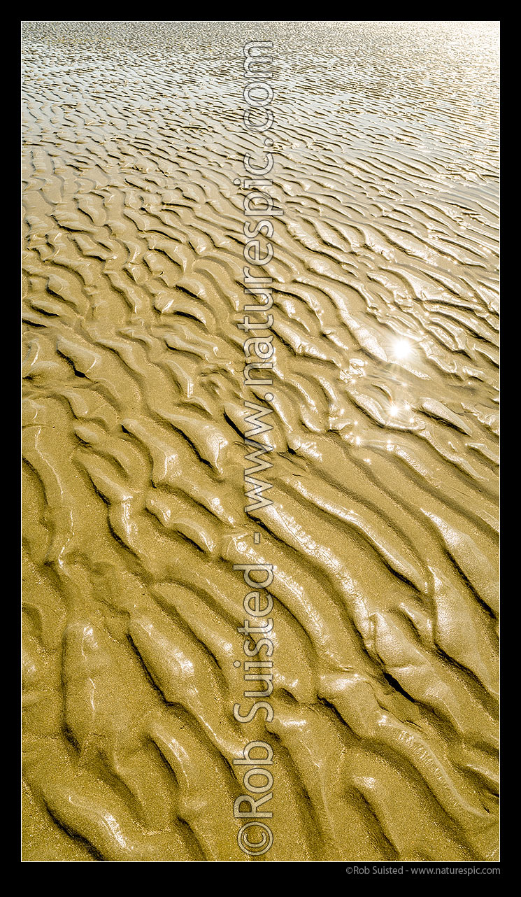 Image of Sand ripples patterns in tidal beach sand. Golden colour. Vertical panorama, Mana, Porirua City District, Wellington Region, New Zealand (NZ) stock photo image