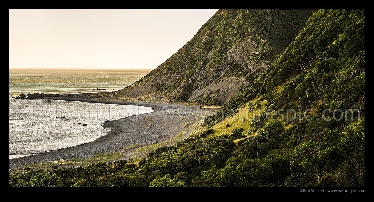 Image of Moody south Wairarapa coastline at dusk. Windy Point and Mukamukaiti Stream centre. Southern Remutaka (Rimutaka) Ranges. Palliser Bay beyond. Panorama, Remutaka Forest Park, South Wairarapa District, Wellington Region, New Zealand (NZ) stock photo image