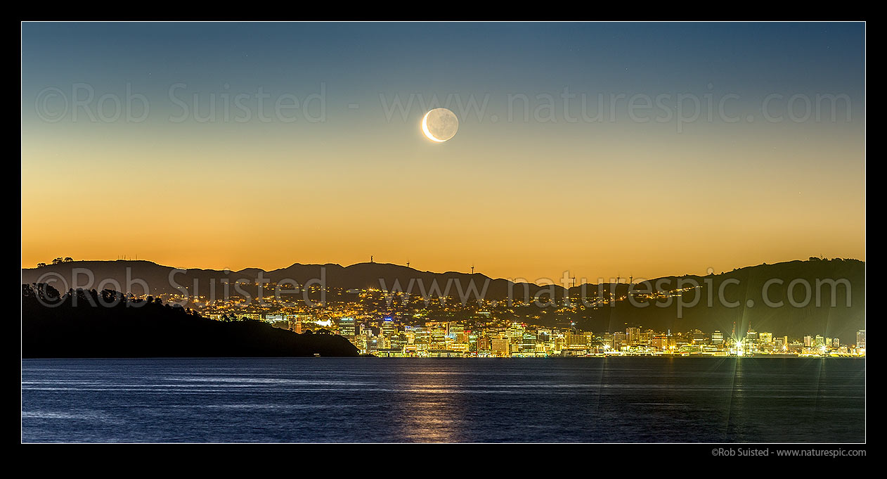 Image of Wellington panorama with setting moon above the city. Seen from eastern harbour. Point Halswell centre, Project West Wind wind turbines above the CBD. Waning crescent moon phase, Wellington, Hutt City District, Wellington Region, New Zealand (NZ) stock photo image