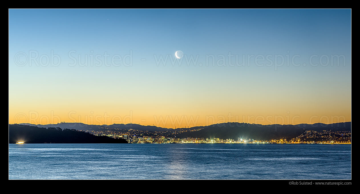 Image of Wellington City twilight panorama with setting moon at sunset, seen from Days Bay across the Harbour. Wellington City CBD and lights. Waning crescent moon phase, Wellington, Hutt City District, Wellington Region, New Zealand (NZ) stock photo image