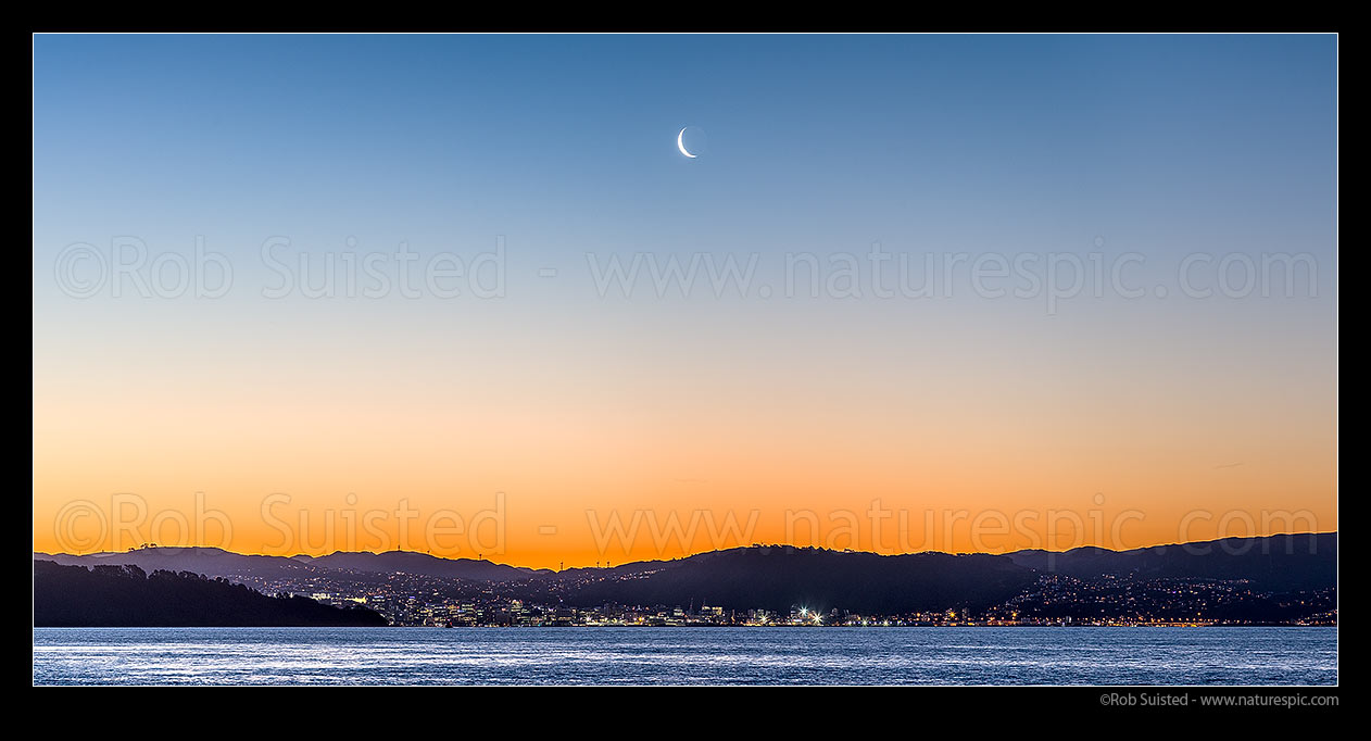 Image of Wellington city sunset panorama with setting moon above the city. Seen from eastern harbour. Point Halswell left, Project West Wind wind turbines above the CBD. Waning crescent moon phase, Wellington, Hutt City District, Wellington Region, New Zealand (NZ) stock photo image