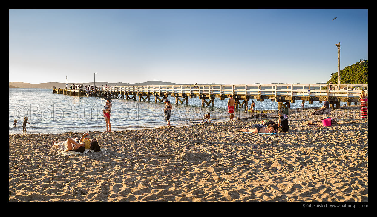 Image of Days Bay beach panorama on a summer evening. People, families, kids and parents relaxing and sunbathing on beach, swimming and jumping from ferry wharf in golden sun, Days Bay, Hutt City District, Wellington Region, New Zealand (NZ) stock photo image