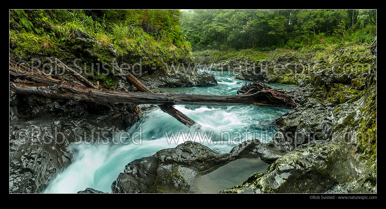 Image of Upper Tongariro River with large tree trunks jammed from previous floods. Panorama, Kaimanawa Forest Park, Taupo District, Waikato Region, New Zealand (NZ) stock photo image