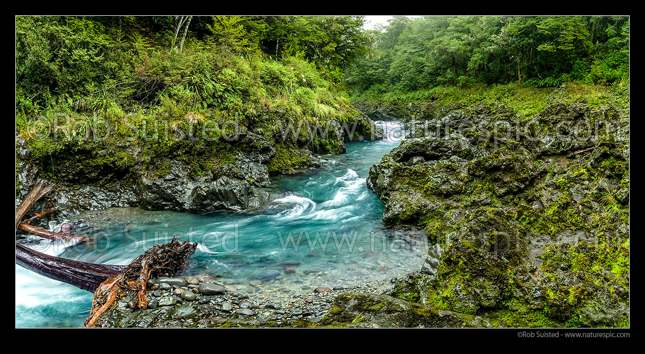 Image of Beautiful Tongariro River running through beech forest in upper reaches, Kaimanawa Forest Park, Taupo District, Waikato Region, New Zealand (NZ) stock photo image