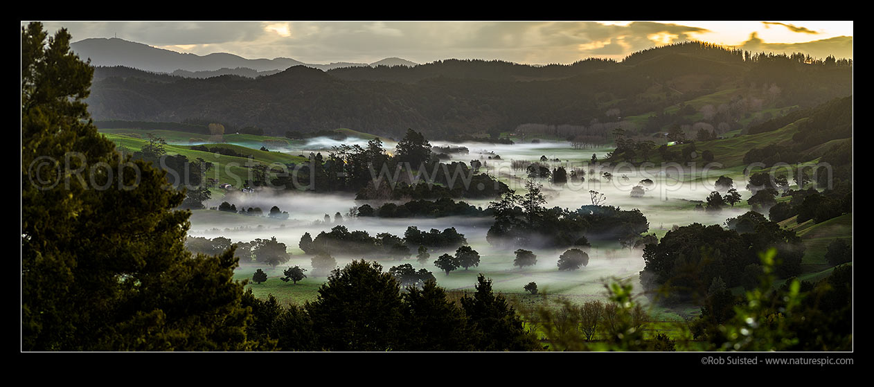 Image of Northland evening mist settling over diary farms in the Ramarama River valley near Maromaku and Towai. Panorama, Maromaku, Far North District, Northland Region, New Zealand (NZ) stock photo image