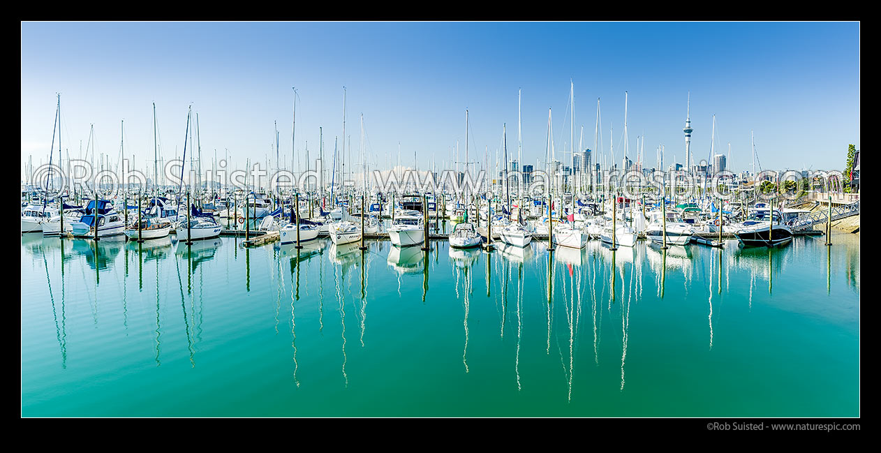 Image of Westhaven Marina, with recreational boats, sailboats and yachts, with Auckland CBD, and Skytower behind. Panorama, Westhaven, Auckland City District, Auckland Region, New Zealand (NZ) stock photo image