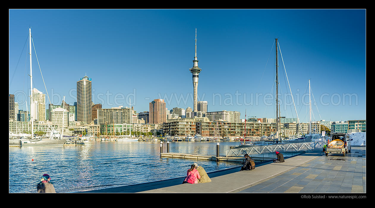 Image of Auckland City waterfront panorama at the Viaduct Harbour Basin. The Auckland Sky Tower and CBD beyond, Auckland City, Auckland City District, Auckland Region, New Zealand (NZ) stock photo image