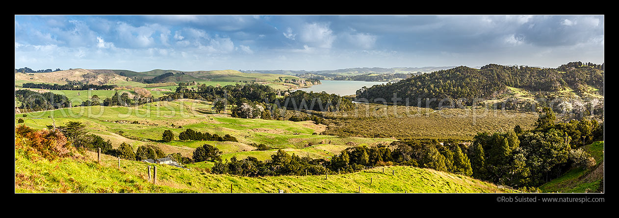 Image of Pahi River arm of the northern Kaipara Harbour. Panorama looking over farmland, mangrove forest and inlet, Paparoa, Kaipara District, Northland Region, New Zealand (NZ) stock photo image