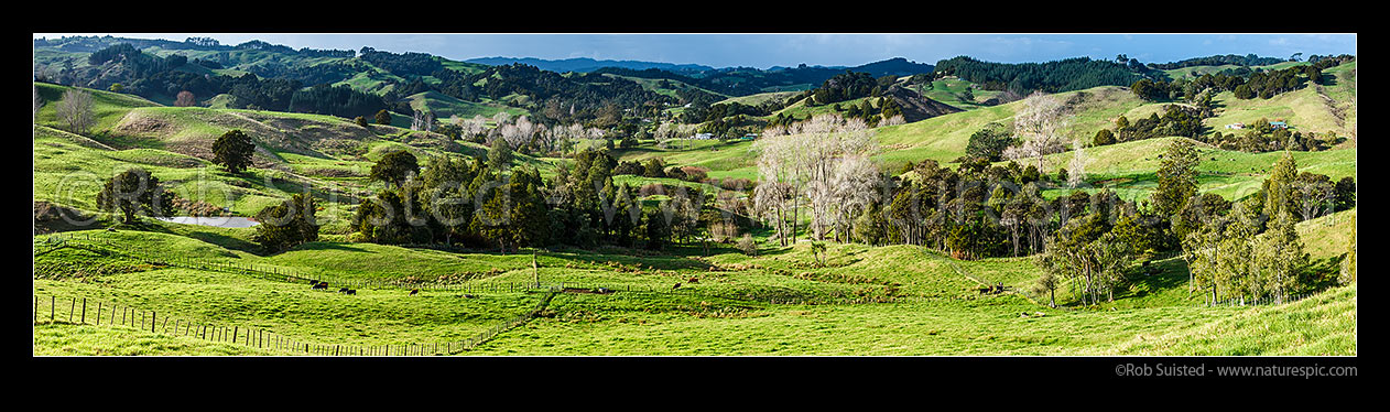 Image of Paparoa Stream Valley panorama, Paparoa, Kaipara District, Northland Region, New Zealand (NZ) stock photo image