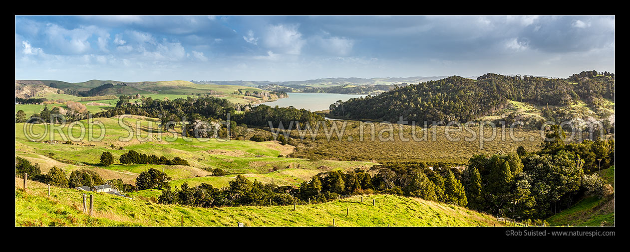 Image of Pahi River arm of the northern Kaipara Harbour. Panorama looking over farmland, mangrove forest and inlet, Paparoa, Kaipara District, Northland Region, New Zealand (NZ) stock photo image