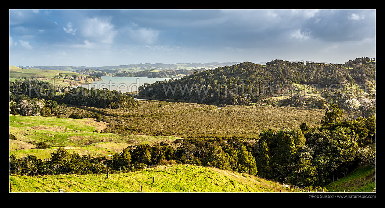 Image of Pahi River arm of the northern Kaipara Harbour. Panorama looking over farmland, mangrove forest and inlet, Paparoa, Kaipara District, Northland Region, New Zealand (NZ) stock photo image