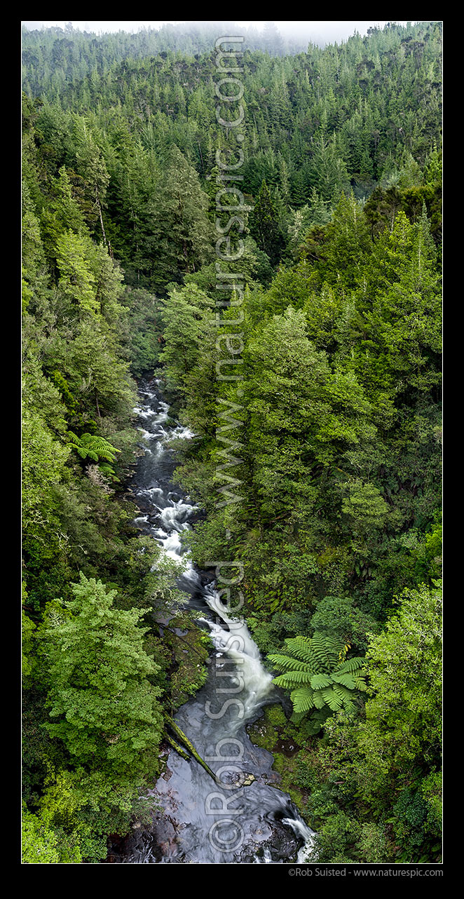 Image of Mangawhio Stream aerial of river, waterfalls and rainforest, Waikato River tributary, Waipapa, Otorohanga District, Waikato Region, New Zealand (NZ) stock photo image